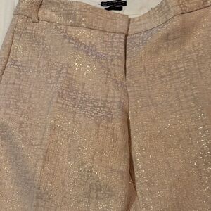 Express Shimmering Cream Straight Leg Pants